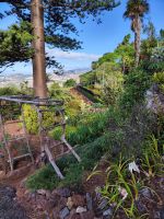 Botanischer Garten von Funchal