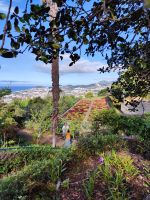 Botanischer Garten von Funchal