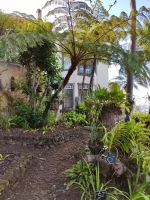 Botanischer Garten von Funchal