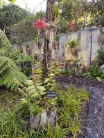 Botanischer Garten von Funchal