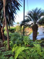 Botanischer Garten von Funchal