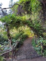 Botanischer Garten von Funchal