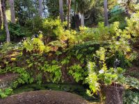 Botanischer Garten von Funchal