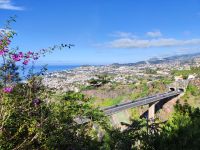 Botanischer Garten von Funchal