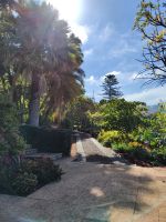 Botanischer Garten von Funchal