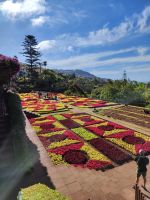 Botanischer Garten von Funchal