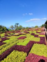 Botanischer Garten von Funchal