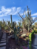 Botanischer Garten von Funchal