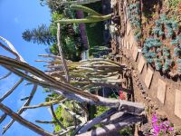 Botanischer Garten von Funchal