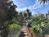 Botanischer Garten von Funchal