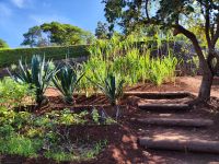 Botanischer Garten von Funchal