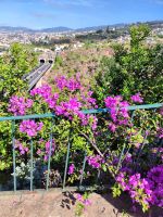 Botanischer Garten von Funchal