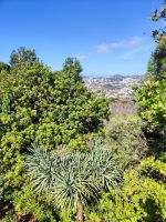 Botanischer Garten von Funchal
