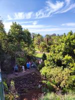 Botanischer Garten von Funchal