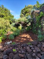 Botanischer Garten von Funchal