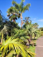 Botanischer Garten von Funchal