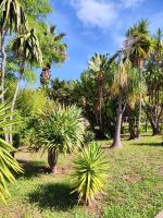 Botanischer Garten von Funchal
