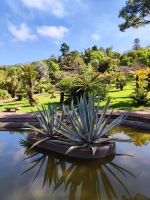 Botanischer Garten von Funchal