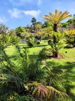 Botanischer Garten von Funchal