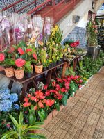 Markthalle in Funchal
