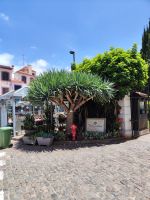 Altstadt in Funchal