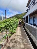 Wanderung entlang der Nordküste