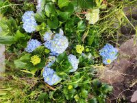 Wanderung entlang der Nordküste