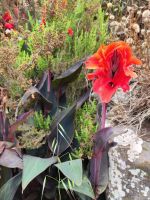 Wanderung entlang der Nordküste