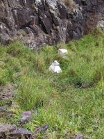 Wanderung entlang der Nordküste