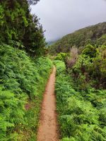 Wanderung entlang der Nordküste