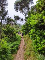 Wanderung entlang der Nordküste