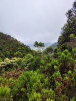 Wanderung entlang der Nordküste