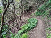 Wanderung entlang der Nordküste
