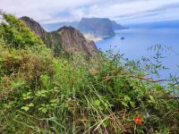 Wanderung entlang der Nordküste