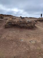 Wanderung Sao Lourenco