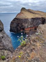 Wanderung Sao Lourenco