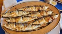 Singlereise Algarve / Portugal - gegrillte Sardinen in Portimao