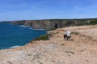2. Tag - Wanderreise Alentejo - von Hafen zu Hafen (23)