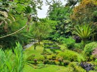 Azoren, Insel Sao Miguel, Furnas, Terra Nostra Park