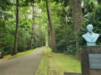 Azoren, Insel Sao Miguel, Terra Nostra Park