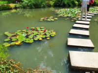 Azoren, Insel Sao Miguel, Terra Nostra Park