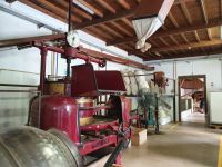 Azoren, Insel Sao Miguel, Teefabrik Gorreana