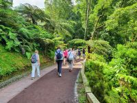Azoren, Insel Sao Miguel, Spaziergang zu den Thermalpool in der Caldeira Velha
