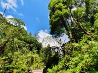 Azoren, Insel Sao Miduel, Caldeira Velha