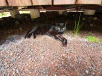 Azoren, Insel Sao Miguel, 