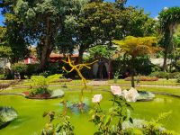 Azoren, Insel Terceira, Angra, Stadtgarten