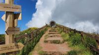 Azoren, Insel Faial, Wanderweg an der Caldeira