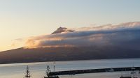 20230808_071430.jpg