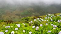 20230809_090408.jpg