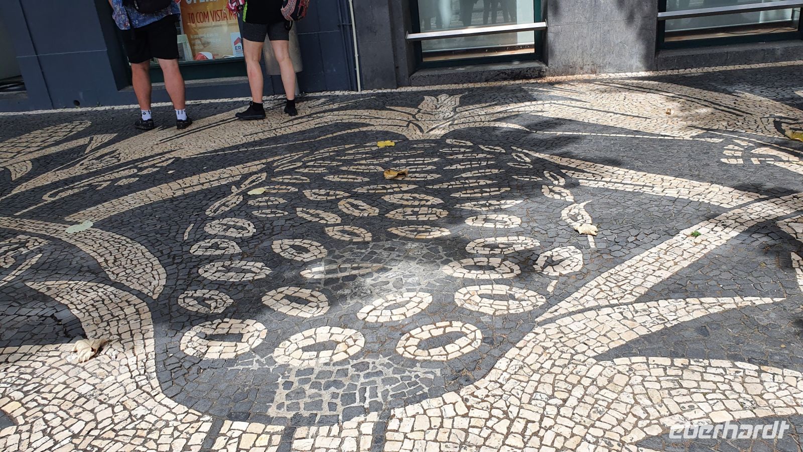 Ponta Delgada, Ananasmotiv im Strassenpflaster